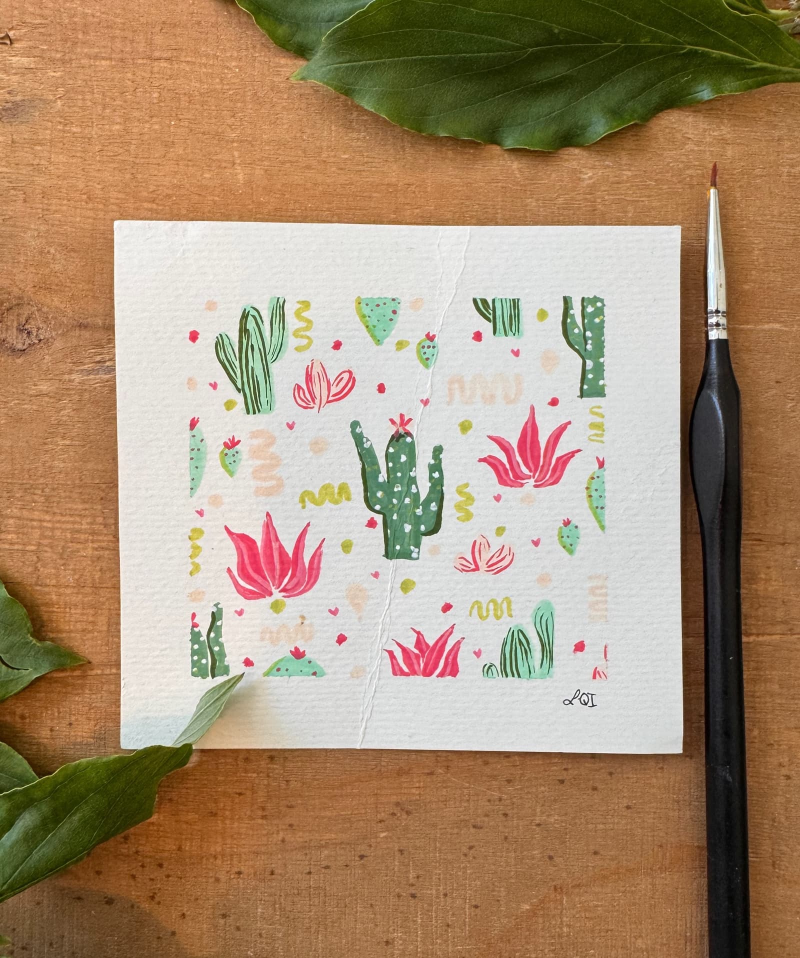 Assorted cacti, no. 1