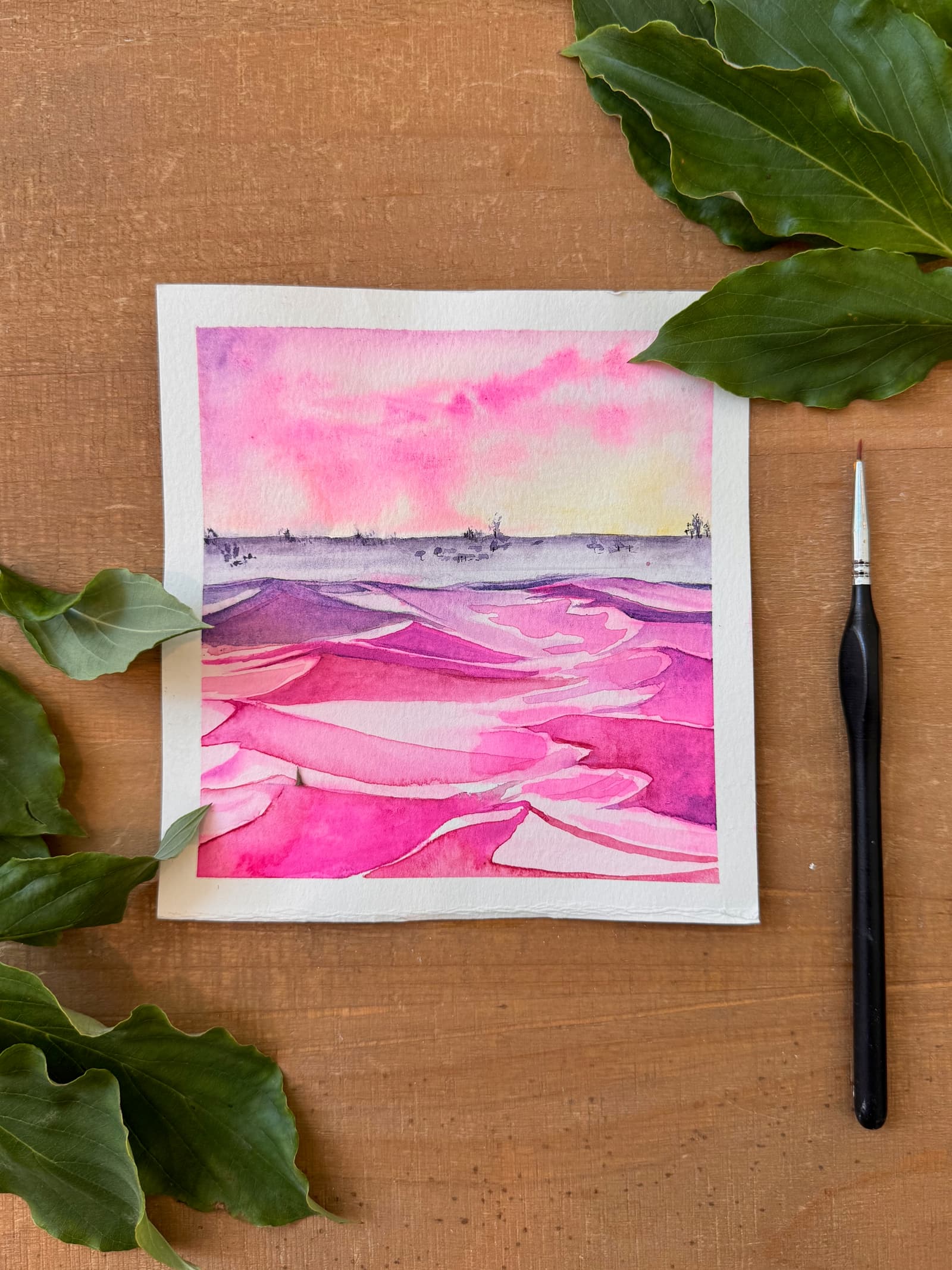 Pink sands, no. 1